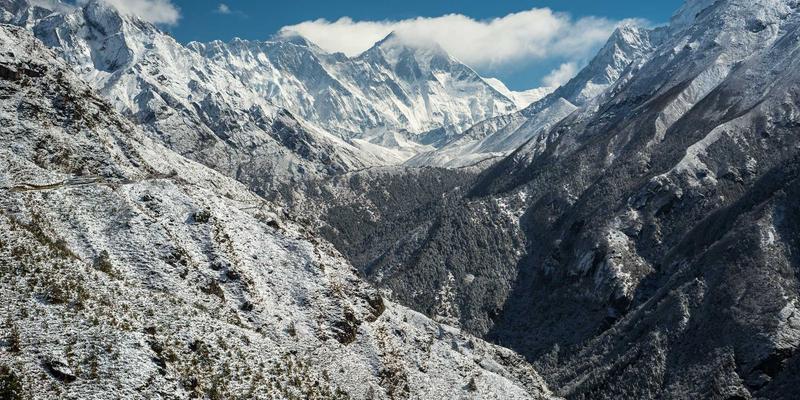 从宠物窝到宠物家具：宠物箱市场的消费升级与未来前景