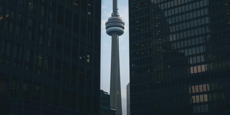 从狗笼到宠物家具：揭秘现代宠物箱的三大设计趋势