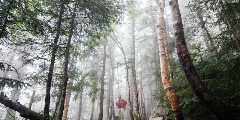 冬季宠物箱保暖升级方案：为毛孩子打造温暖过冬的宠物围栏与狗笼空间