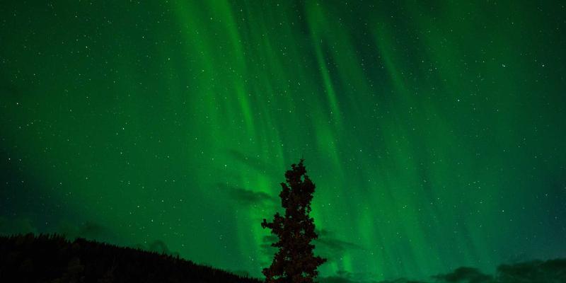 多猫家庭必备：宠物围栏与家具的智慧配置策略，打造和谐共处空间