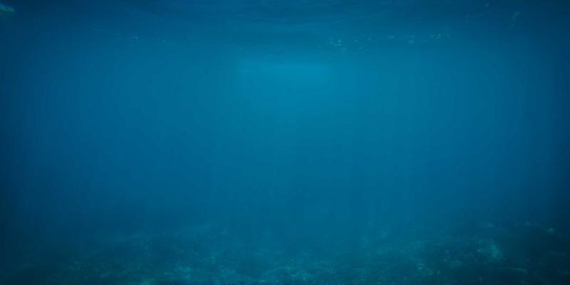 如何为焦虑症狗狗选择减压宠物箱：隔音与避光设计的终极指南