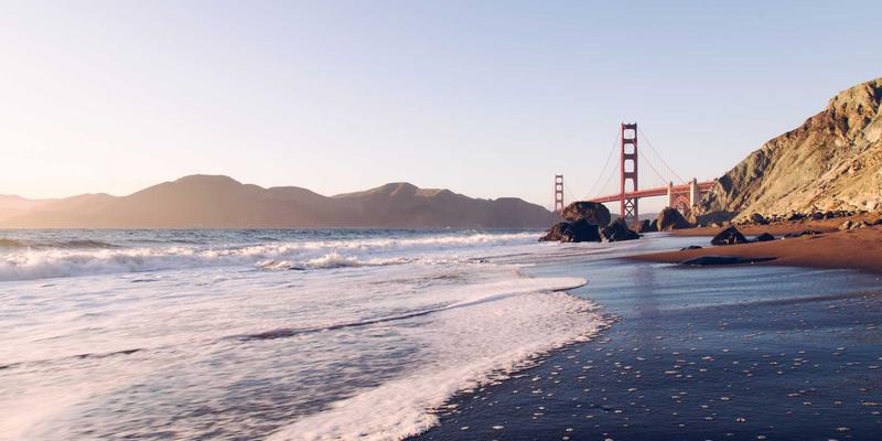 宠物围栏、猫笼与宠物窝怎么选？针对大型犬与短鼻犬的特殊考量指南