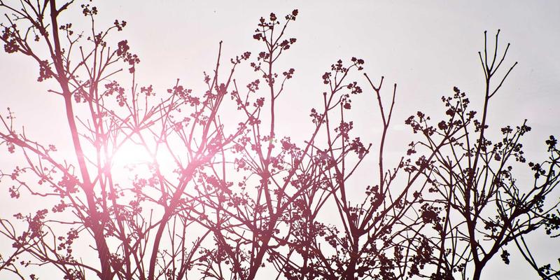 宠物家具巧选择：狗笼与宠物围栏如何平衡安全与自由，预防行为问题