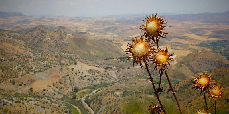 宠物笼具全解析：从猫笼到宠物围栏，如何为爱宠选择安全舒适空间
