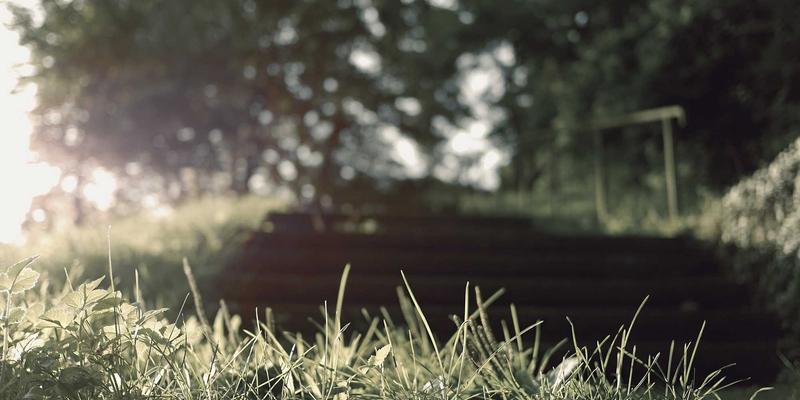 宠物箱15：猫笼、狗笼与宠物窝的终极选购与使用指南