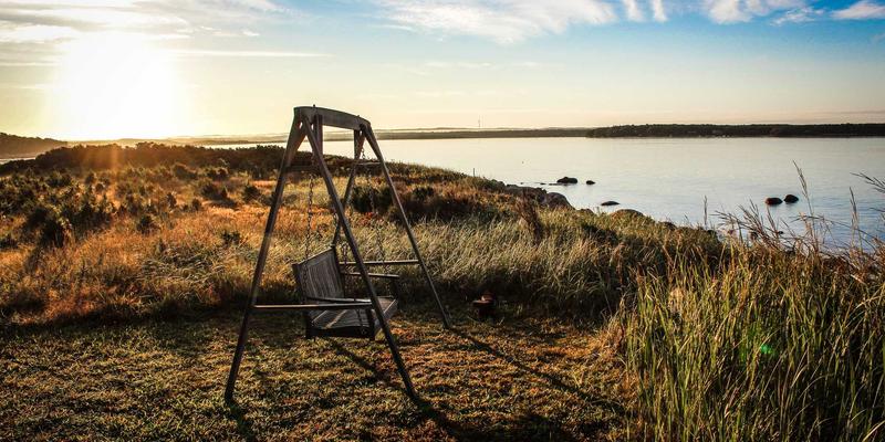 宠物箱36：如何为爱宠选择最合适的笼具与围栏？