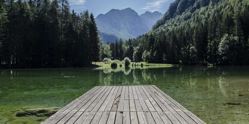 宠物箱45：不止是猫笼，更是宠物家具与安全围栏的智慧融合