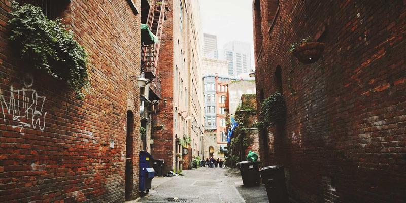 宠物箱46：为爱宠选择理想居所的全方位指南