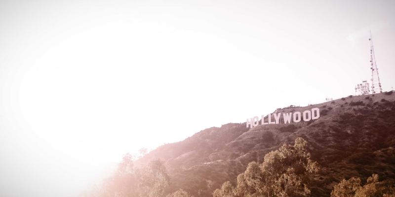 宠物箱52：重新定义狗笼与宠物家具的融合美学