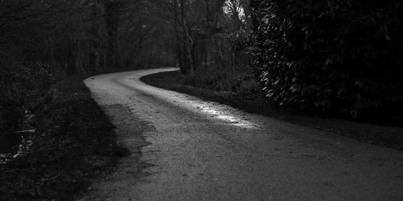 宠物箱55：宠物窝、宠物箱与宠物围栏的终极选购与使用指南