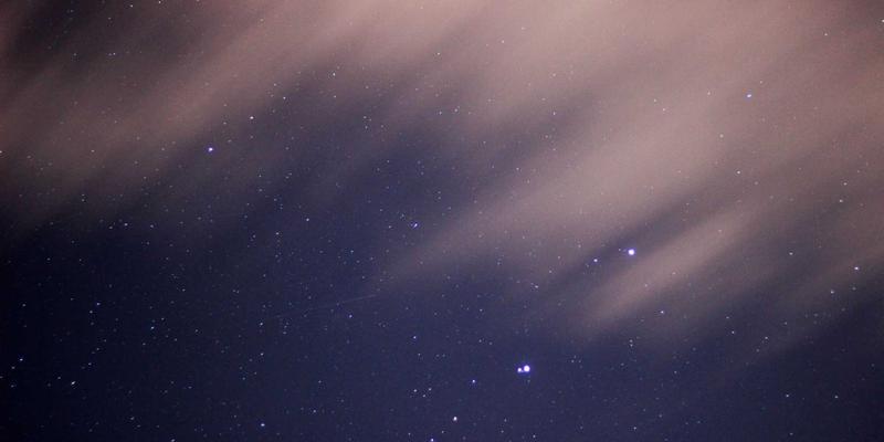 宠物箱57：狗笼、猫笼与宠物窝的终极选购指南