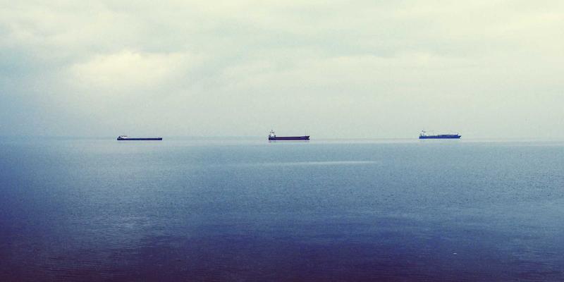 宠物箱58：如何为爱宠挑选理想的狗笼与宠物窝？