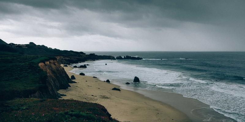 宠物箱65：不只是笼具，更是爱宠的安全港湾与生活空间