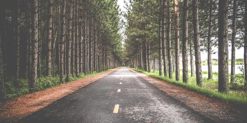 宠物箱69：宠物窝与围栏的智能组合方案，打造爱宠专属安全空间