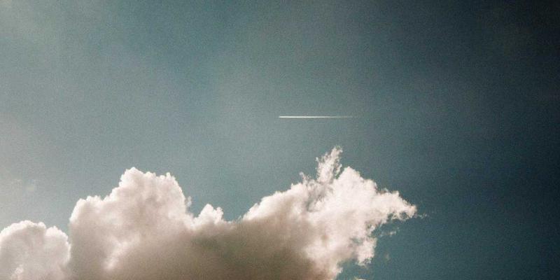 宠物箱70：不止是笼具，更是爱宠的安心港湾