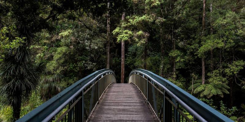 宠物箱85：如何为爱宠挑选理想的宠物窝与宠物箱？