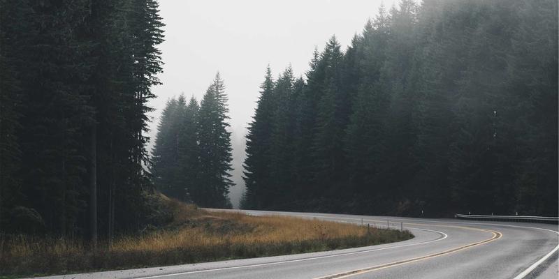 宠物箱94：科学选择宠物笼具的完整指南，打造爱宠安全舒适空间