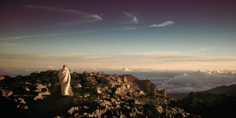 宠物箱与围栏选购全指南：为爱宠打造安全舒适空间