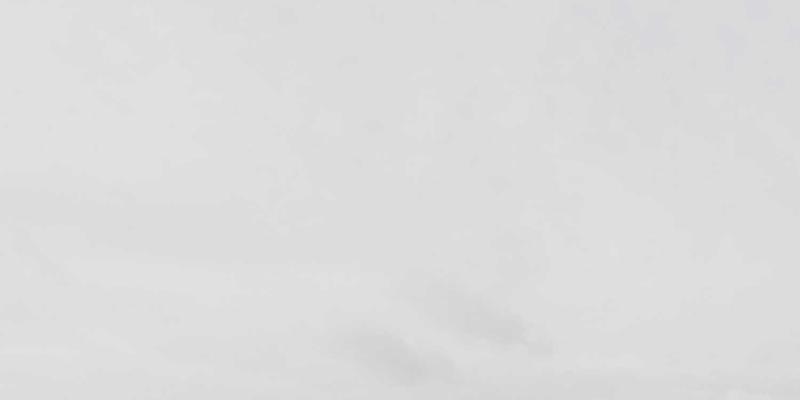 宠物箱与宠物围栏如何完美融入家居美学：不显突兀的摆放与装饰技巧