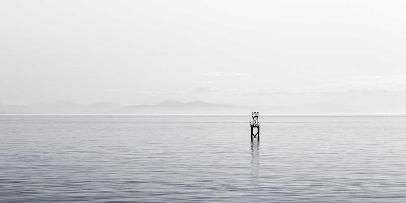 宠物箱与宠物窝：打造安全基地，轻松应对装修聚会，守护爱宠心理健康