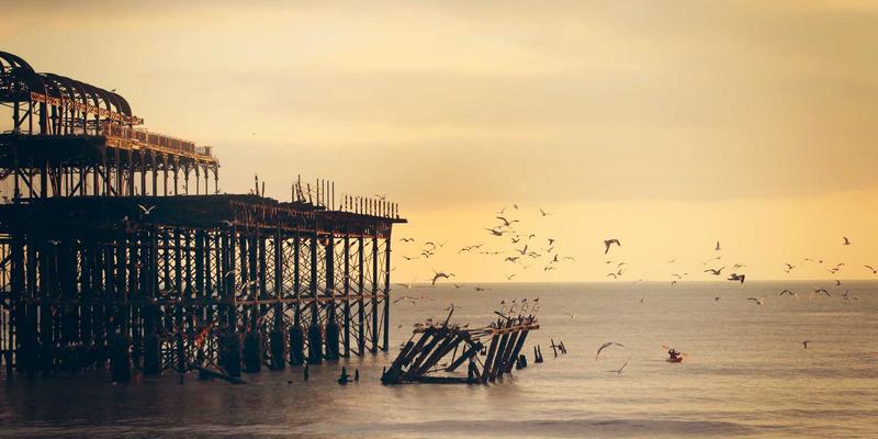 宠物箱与狗笼清洁消毒全攻略：3步彻底消灭寄生虫和细菌