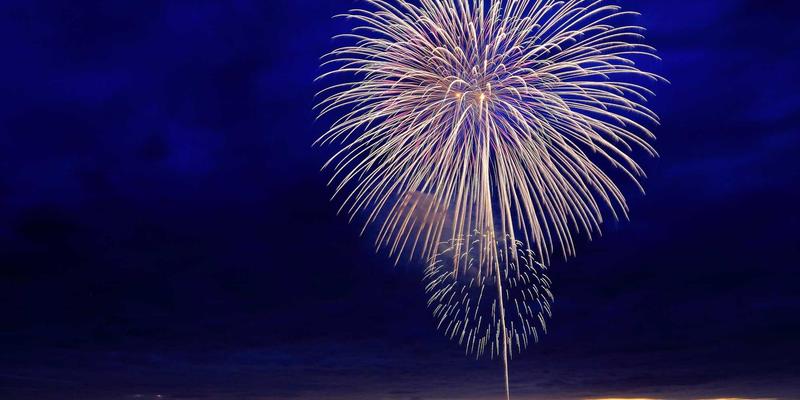 宠物箱材质深度解析：ABS、玻璃钢、金属丝网与木质，哪种才是爱宠的最佳选择？