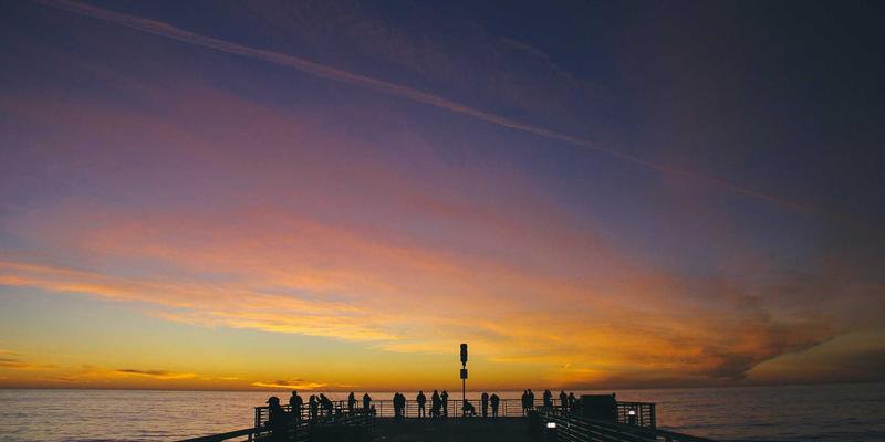 宠物箱、猫笼与宠物围栏全解析：如何为爱宠选择最合适的“安全屋”