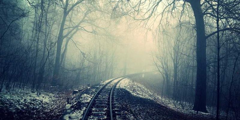 宠物箱选购与使用全指南：从狗笼到多功能宠物用品的智慧选择