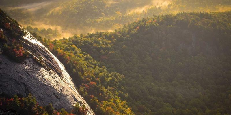 宠物箱选购全攻略：从狗笼到多功能笼具的智慧选择