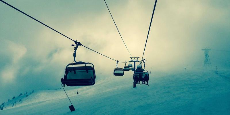 宠物箱选购全攻略：猫笼狗笼如何选？安全舒适是关键