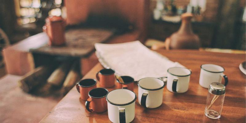 宠物箱选购全攻略：猫笼、狗笼如何选？这7个关键点必须看