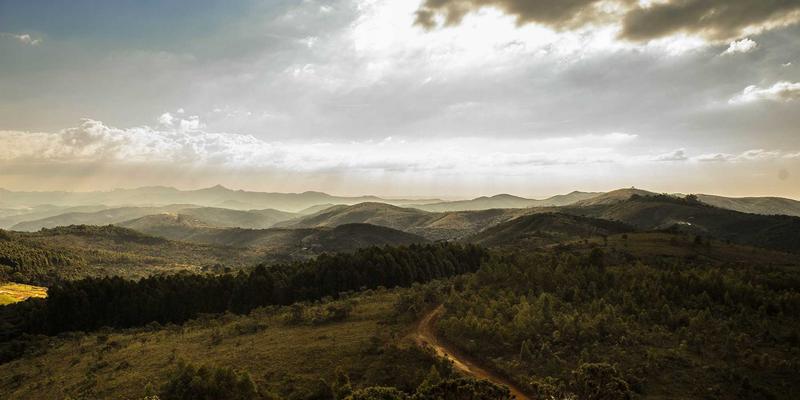 幼犬到家第一步：巧用宠物箱与围栏，轻松搞定笼内训练与如厕教育