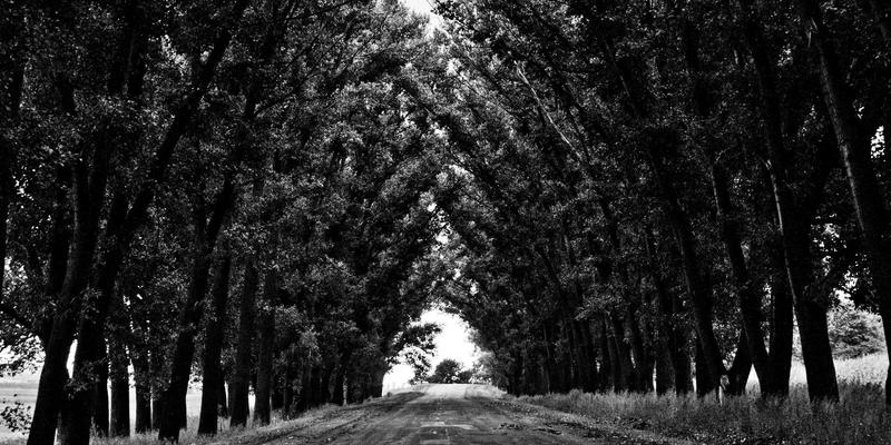 智能宠物箱选购全攻略：温控、监控与自动投喂如何升级你的宠物窝与围栏体验