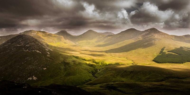 狗笼与宠物围栏：从惩罚工具到安全港湾，如何用宠物家具科学矫正行为问题