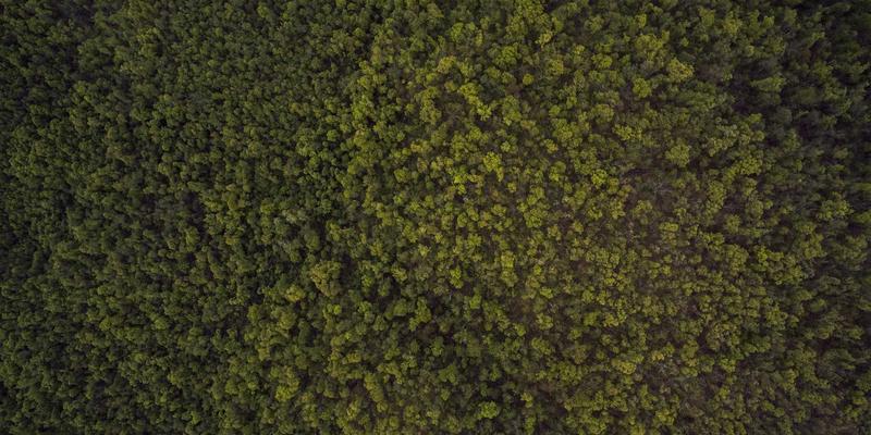 狗笼清洁与消毒完全手册：告别异味，守护宠物健康