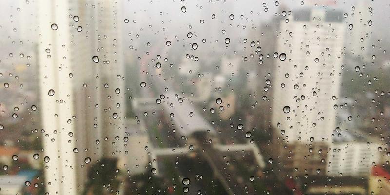 短期寄养无忧指南：用对宠物用品与围栏，打造安全熟悉的临时宠物箱环境