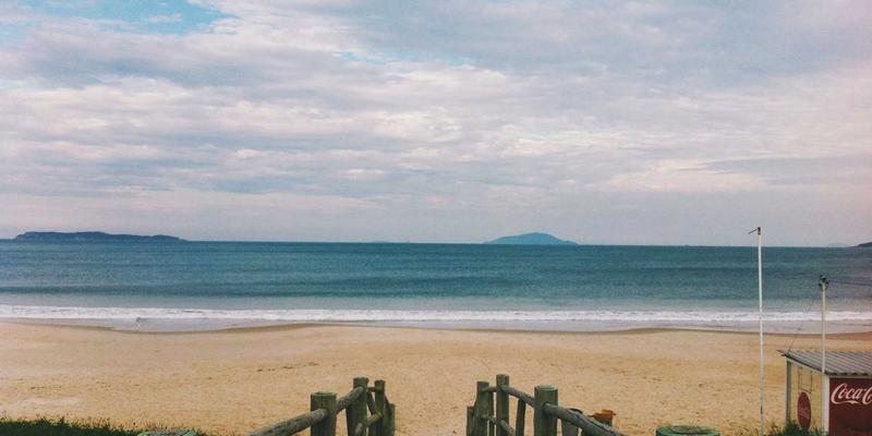 车载宠物箱固定方案全评测：安全带、支架与后备箱笼哪种更适合你的爱宠？