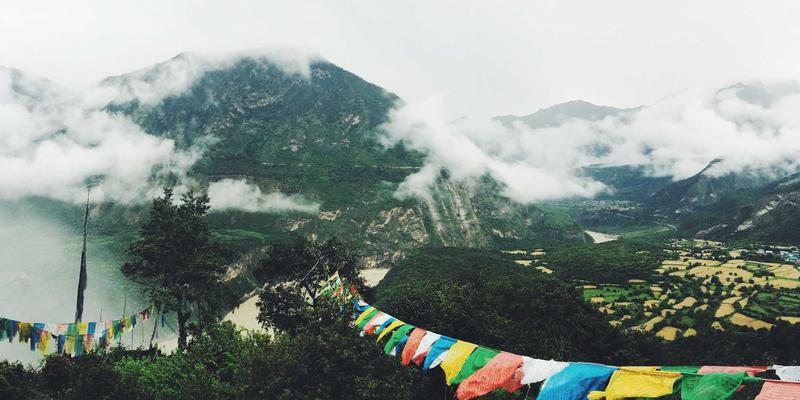 车载宠物箱安全测评：固定方式、抗冲击性与行车通风设计全解析